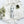 Load image into Gallery viewer, Clothes Doctor |  No. 4 Eco Wash - 500ml Silk
